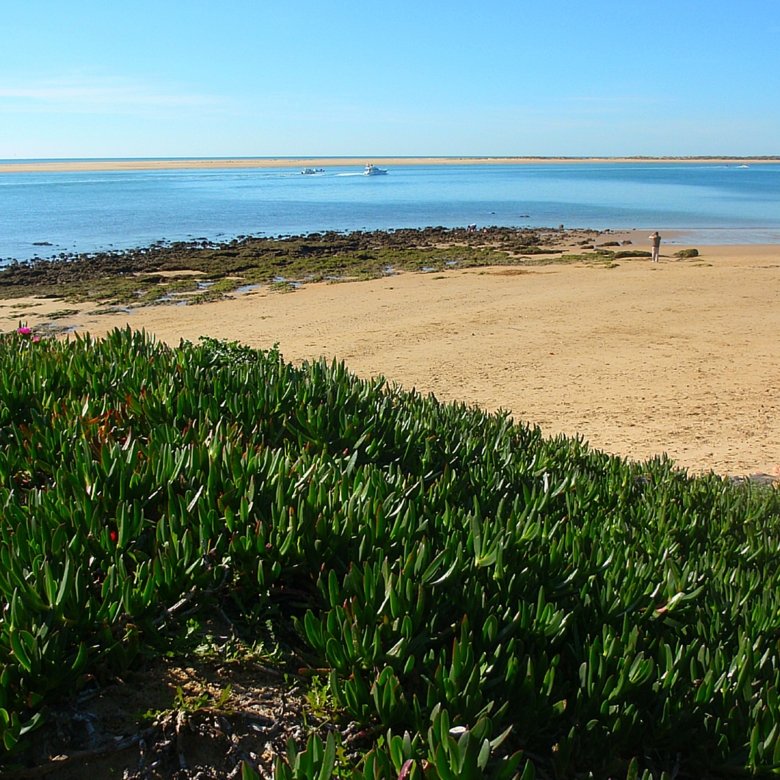 Chalet en mazagon